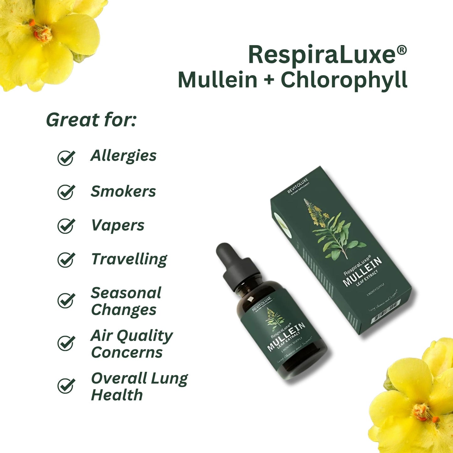 RespiraLuxe® Mullein + Chlorophyll Extract