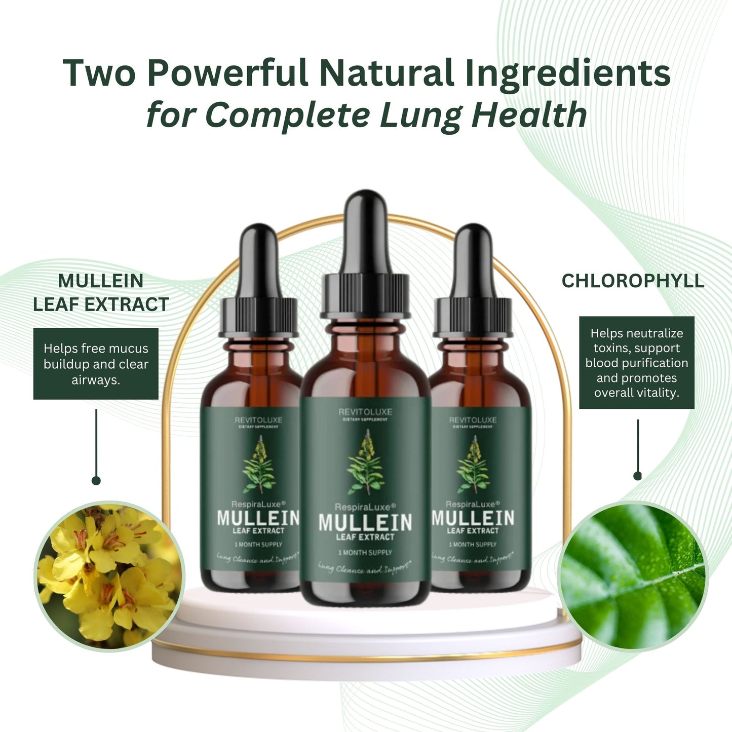 RespiraLuxe® Mullein + Chlorophyll Extract